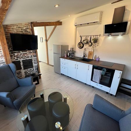 Bellevue Appartement Sous Les Toits Hypercentre Climatise Dole Eksteriør bilde