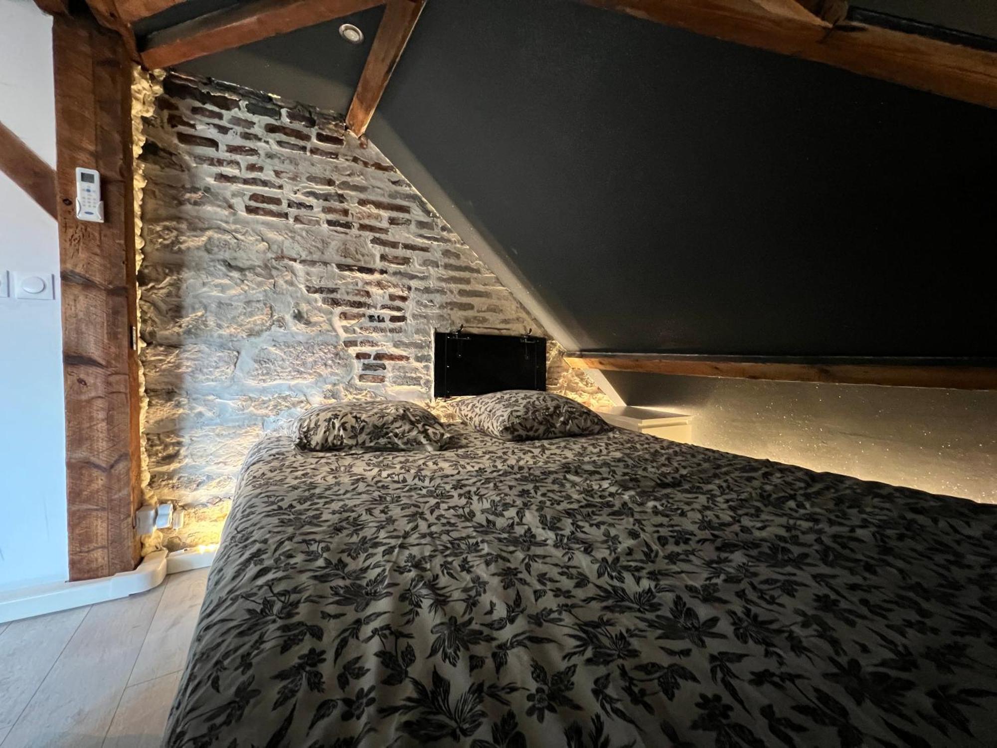 Bellevue Appartement Sous Les Toits Hypercentre Climatise Dole Eksteriør bilde