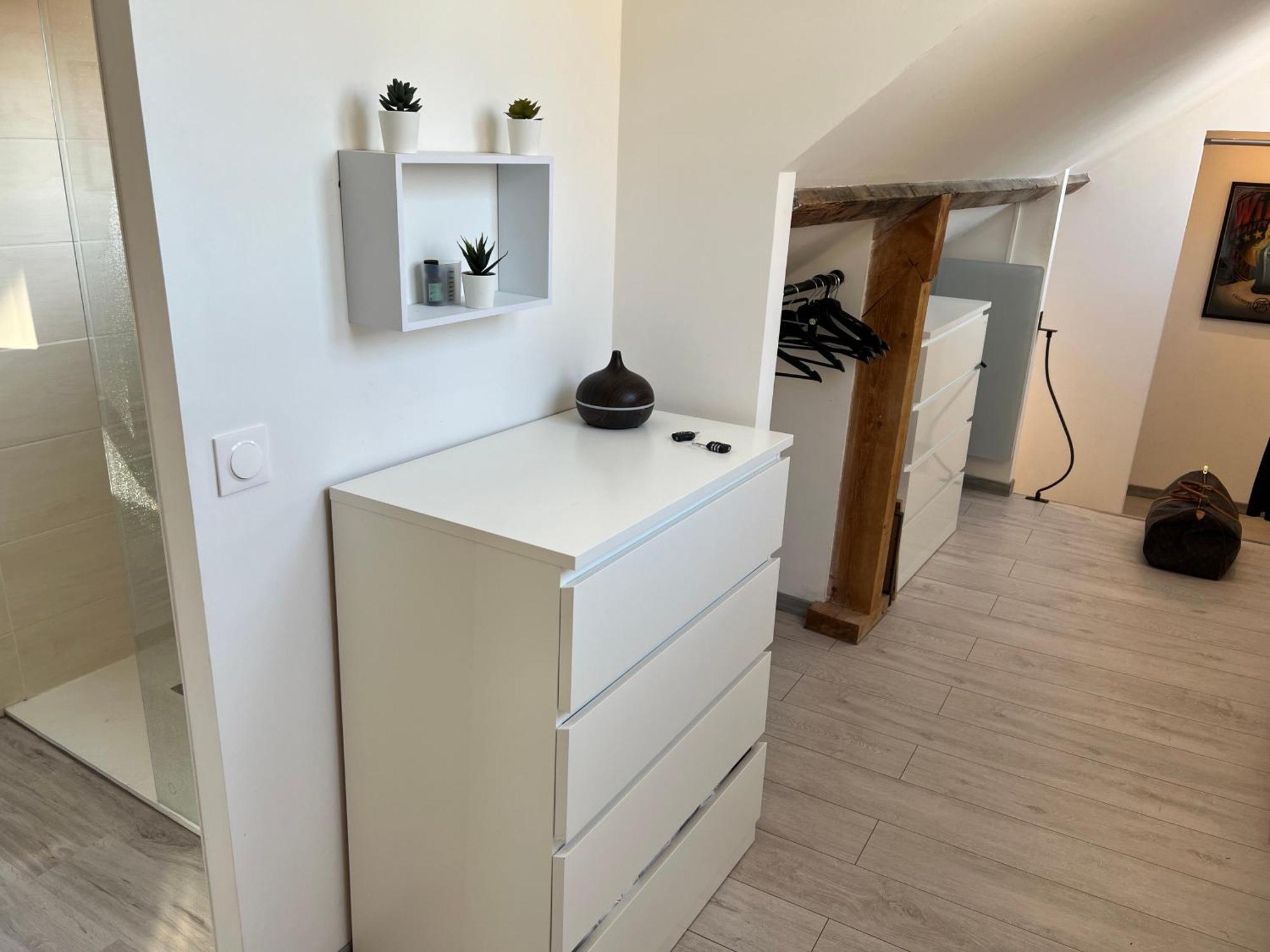Bellevue Appartement Sous Les Toits Hypercentre Climatise Dole Eksteriør bilde